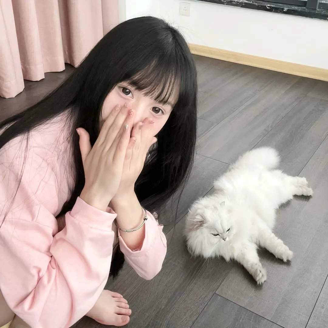 行运一条龙